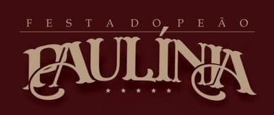 festa-do-peao-de-paulinia.jpg